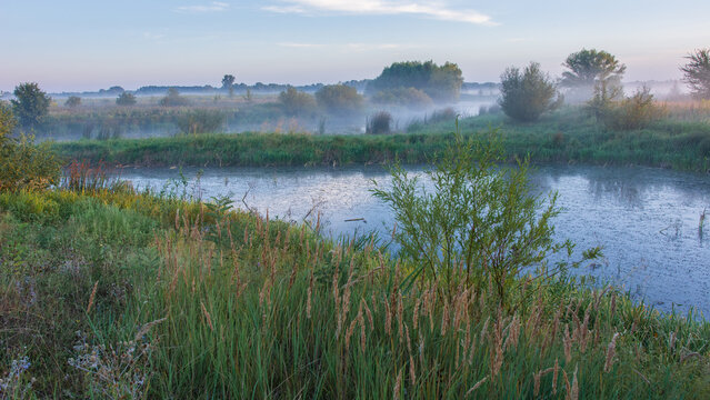 A misty morning fog gently rolls over a calm river winding through lush green fields and trees under a soft sky