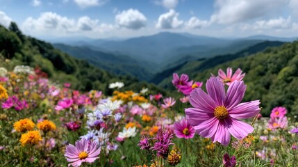 Fototapeta premium Colorful wildflower meadow overlooking majestic distant mountains