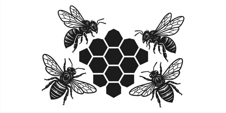 Black and white illustration of bees and honeycomb pattern.