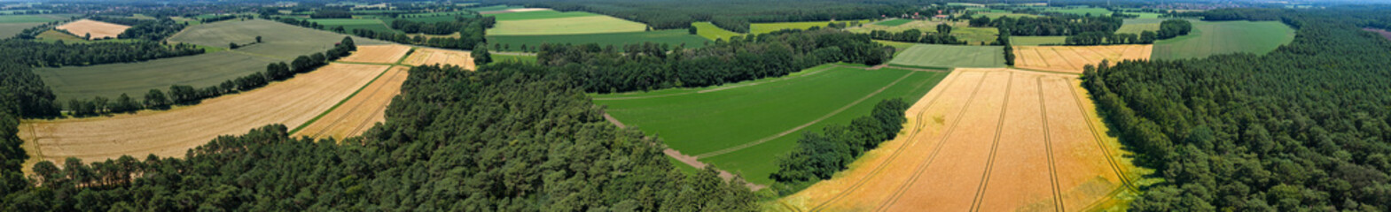 Naklejka premium Panoramic agricultural land and natural landscape. Panoramic aerial field. Aerial geometric field panorama. Farming landscape panorama. Aerial rural countryside landscape with farmland field