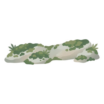 Ein flacher, grauer Stein mit gr&uuml;nem Moosbewuchs und kleinen Farnpflanzen, isoliert auf wei&szlig;em Hintergrund, ideal f&uuml;r Natur-Illustrationen und Landschaftsdesign-Projekte.