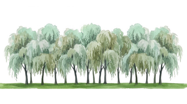 Malerische Baumreihe aus gr&uuml;nen Trauerweiden in Aquarelltechnik isoliert vor wei&szlig;em Hintergrund f&uuml;r k&uuml;nstlerisches Design.
