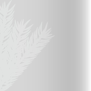White silhouette,shadow of evergreen fir branches along the left edge of a light-to-dark gray gradient background with large copy space.