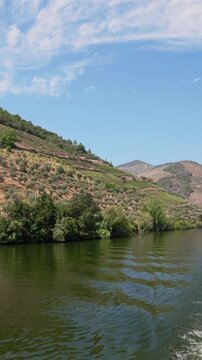 Navigating the douro river through portugal vineyards