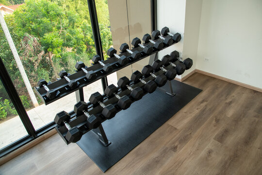Black dumbbells on two tier storage rack in modern fitness gym