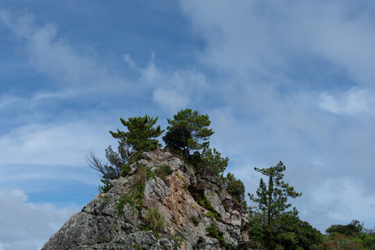 Rocky Cliff with Pine Trees on Suzushima Island under Blue Sky in Shingu Wakayama Japan