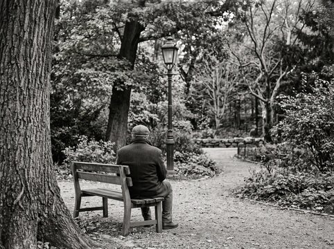 Solitary person resting on a park bench