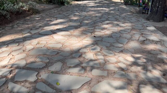 Rustic Flagstone Garden Path Pattern Background Outdoors