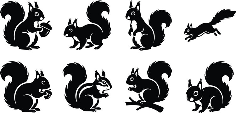 Squirrel Vector Silhouette Set, Forest Rodent with Curled Tail Icons