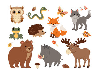 Fototapeta premium Cute forest animals. Isolated flat vector illustrations. Set.