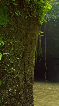 Vertical video. Close View of Moss Covered Cliff Beside Tibumana Waterfall And Shallow Pool, Rich Tropical Textures Highlight Rainforest Ecosystem