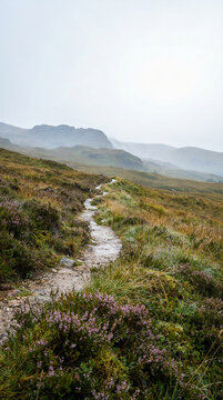 Misty autumn mountain landscape with winding hiking trail through mossy heath and wildflowers. Ethereal wilderness scenery for travel, wellness, book cover, and cinematic background.