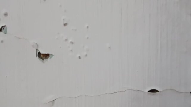 Video of a white wall background with cracked and peeling paint, chipped plaster, holes, stains, and worn texture. 
