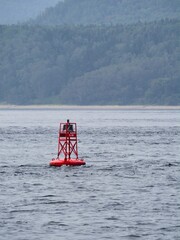 Red navigation buoy near forested shoreline © Oleksandr