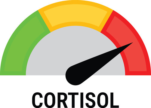 Cortisol Stress Level Speedometer Gauge Indicator High Range Vector Illustration with Transparent Background PNG