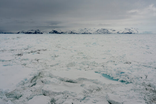 Sea ice drifting southward on East Coast, Greenland