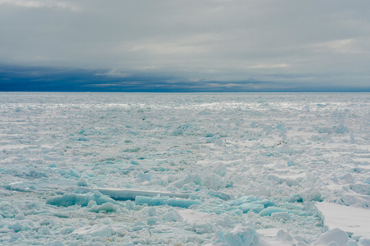 Sea ice drifting southward on East Coast, Greenland