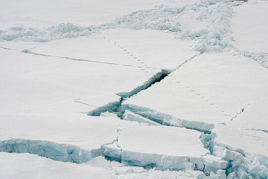 Sea ice drifting southward on East Coast, Greenland