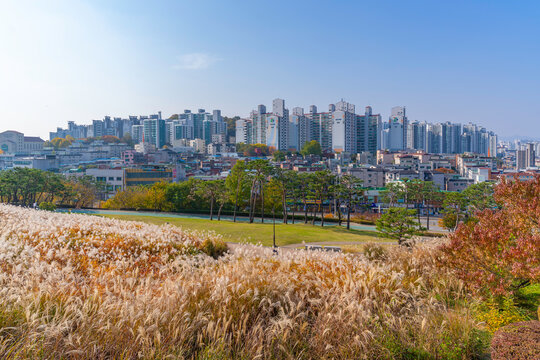 View of Suvon city during daytime from Paldal Park in autumn, Paldal-gu, Suwon-si, Gyeonggi-do, South Korea