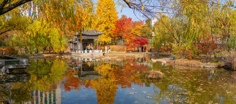View of Wolhwawon Garden, traditional Chinese design, on a sunny day in autumn, Suwon-si, Gyeonggi-do, South Korea