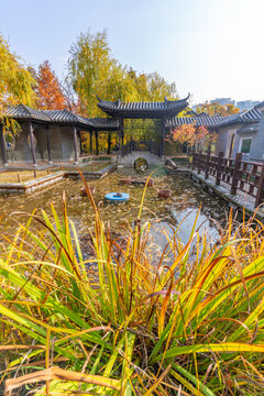 View of Wolhwawon Garden, traditional Chinese design, on a sunny day in autumn, Suwon-si, Gyeonggi-do, South Korea