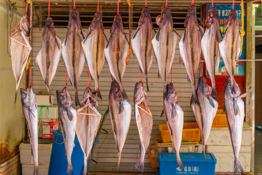 View of fresh local seafood for sale on market stall, Jung-gu, Bupyeong-dong, Busan, South Korea