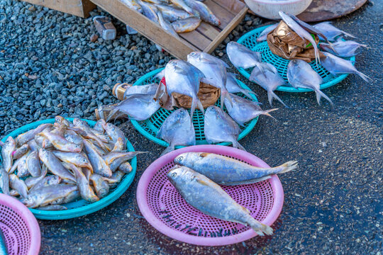 View of fresh local seafood for sale on market stall, Jung-gu, Bupyeong-dong, Busan, South Korea