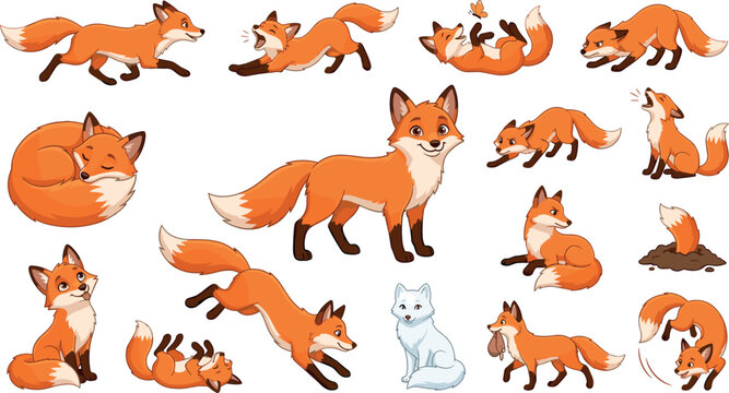 Cute cartoon fox character set with various poses and emotions including running sleeping jumping howling hunting and one white arctic fox vector illustration on white background.