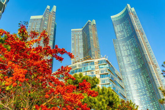 View of skyscrapers overlooking Haeundae beach on a sunny day, Suyeong-gu District, Busan, South Korea