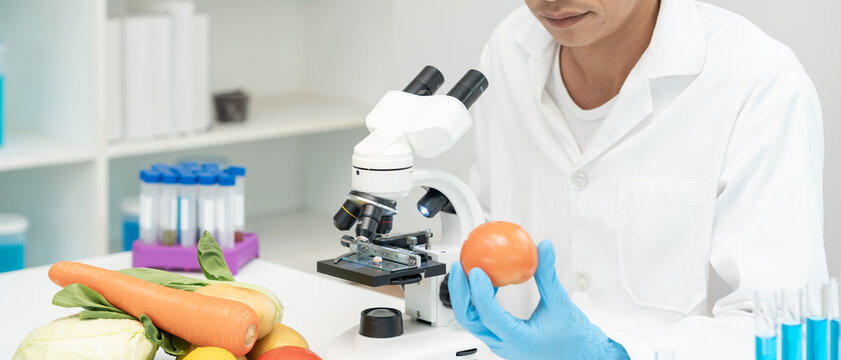 Scientist check chemical food residues in laboratory. Control experts inspect quality of fruits, vegetables. lab, hazards, ROHs, find prohibited substances, contaminate, Microscope, Microbiologist