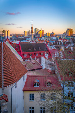 Elevated view of Tallinn skyline at sunset in winter, Tallinn, Estonia
