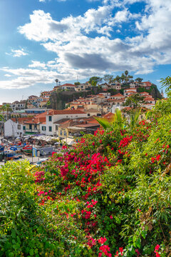 Elevated view of Camara de Lobos on a sunny day, Funchal, Madeira, Portugal