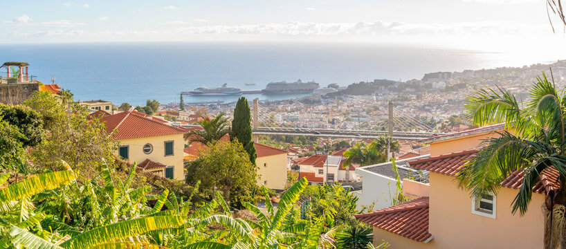 View of cruise ships in port and Funchal from elevated position on a sunny day, Rampa da Sacristia, Funchal, Portugal