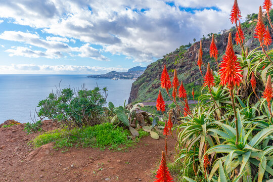 View of coastline towards Funchal from Cristo Rei, Estr. do Cristo Rei, Canico, Madeira, Portugal