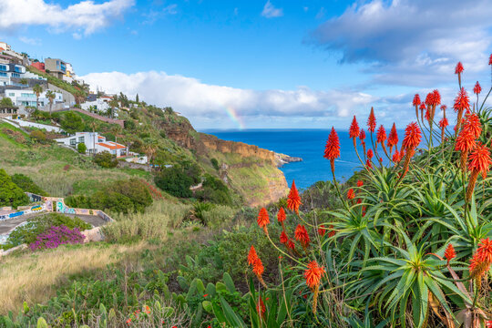 View of coastline from Cristo Rei, Estr. do Cristo Rei, Canico, Madeira, Portugal