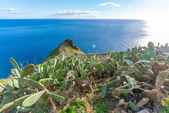 View of coastline from Cristo Rei, Estr. do Cristo Rei, Canico, Madeira, Portugal