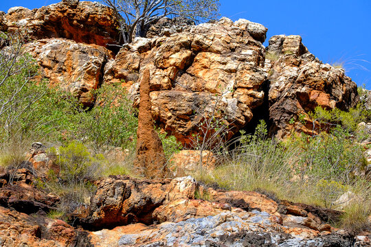 Termite mound, Kimberley, Australia