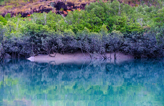 Mangrove swamps as dawn breaks at Prince Frederick Harbour and Porosus Creek, Kimberley, Australia