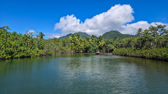 Exploring the Indian River with lush greenery and mountains in Portsmouth, Dominica around midday