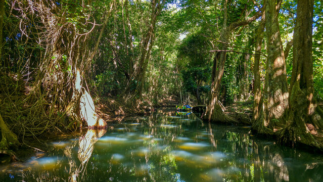Exploring the lush waterways of a river surrounded by dense greenery in a tropical setting during daytime in Dominica