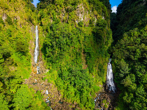 Explore the beauty of Trafalgar Falls in Morne Trois Pitons National Park in Dominica with lush greenery and cascading water