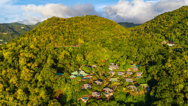 Lush green landscape in deep jungle surrounds resort nestled in nature, highlighting natural beauty of location