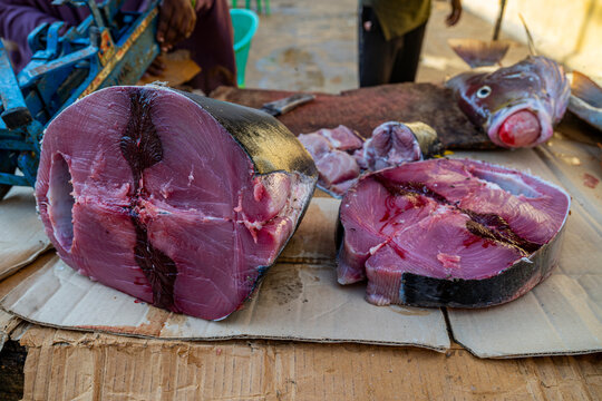 Fresh fish cut and displayed at a market with vendors selling seafood in Kismayo, Jubaland, Somalia