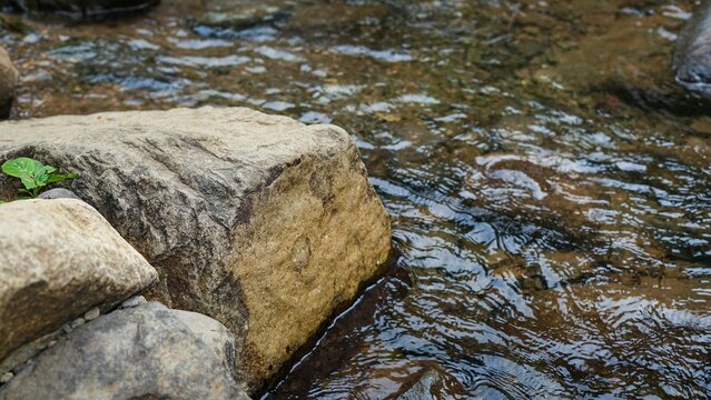 Rocky forest stream with flowing water and large boulders.
