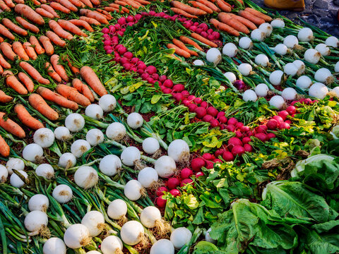 Processional carpet from vegetables on Good Friday, Antigua Guatemala, Sacatepequez Department, Guatemala