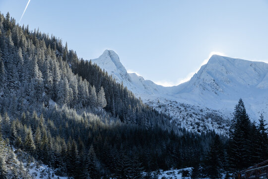 Exploring winter trails in the mountains of Romania with snow-covered trees and peaks in sight