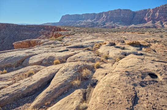 View of Paria Plateau from Soap Creek Mesa at sunset in Vermilion Cliffs National Monument Arizona