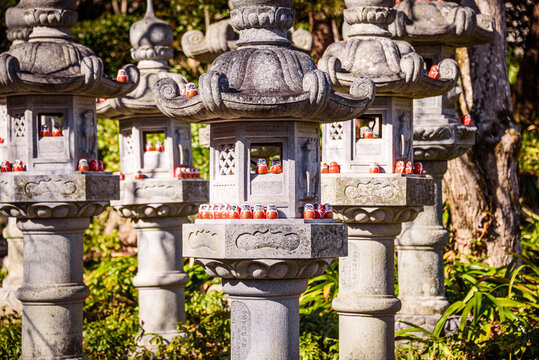 Stone lanterns line the grounds of Ryuanji Temple and serve Buddhist rituals in Minoh, Japan