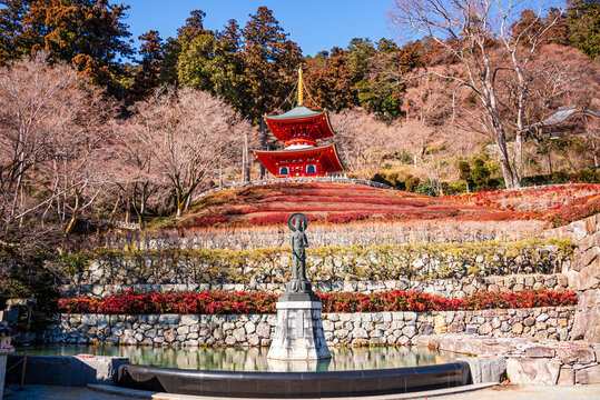 Red pagoda at Ryuanji Temple surrounded by tiered flower gardens in Minoh, Japan during daytime