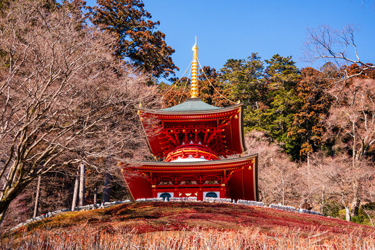 Close-up view of the red pagoda at Ryuanji Temple surrounded by trees in the hills of Minoh, Japan